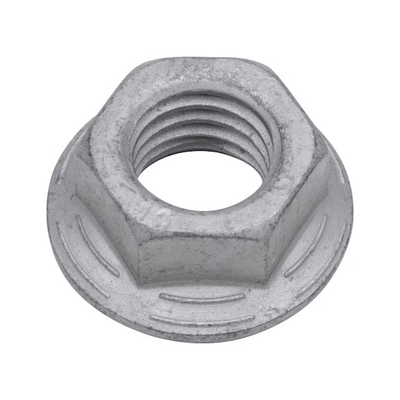 BORGTANDMOER - MR-RIPP-FL-100-SW22- (ZFSHL) - M16