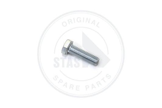TAPBOUT ZESKANTE KOP VOLL DRAAD DIN 933 GALVA M12X
