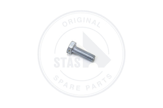 TAPBOUT ZESKANTE KOP VOLL DRAAD DIN 933 GALVA M10X